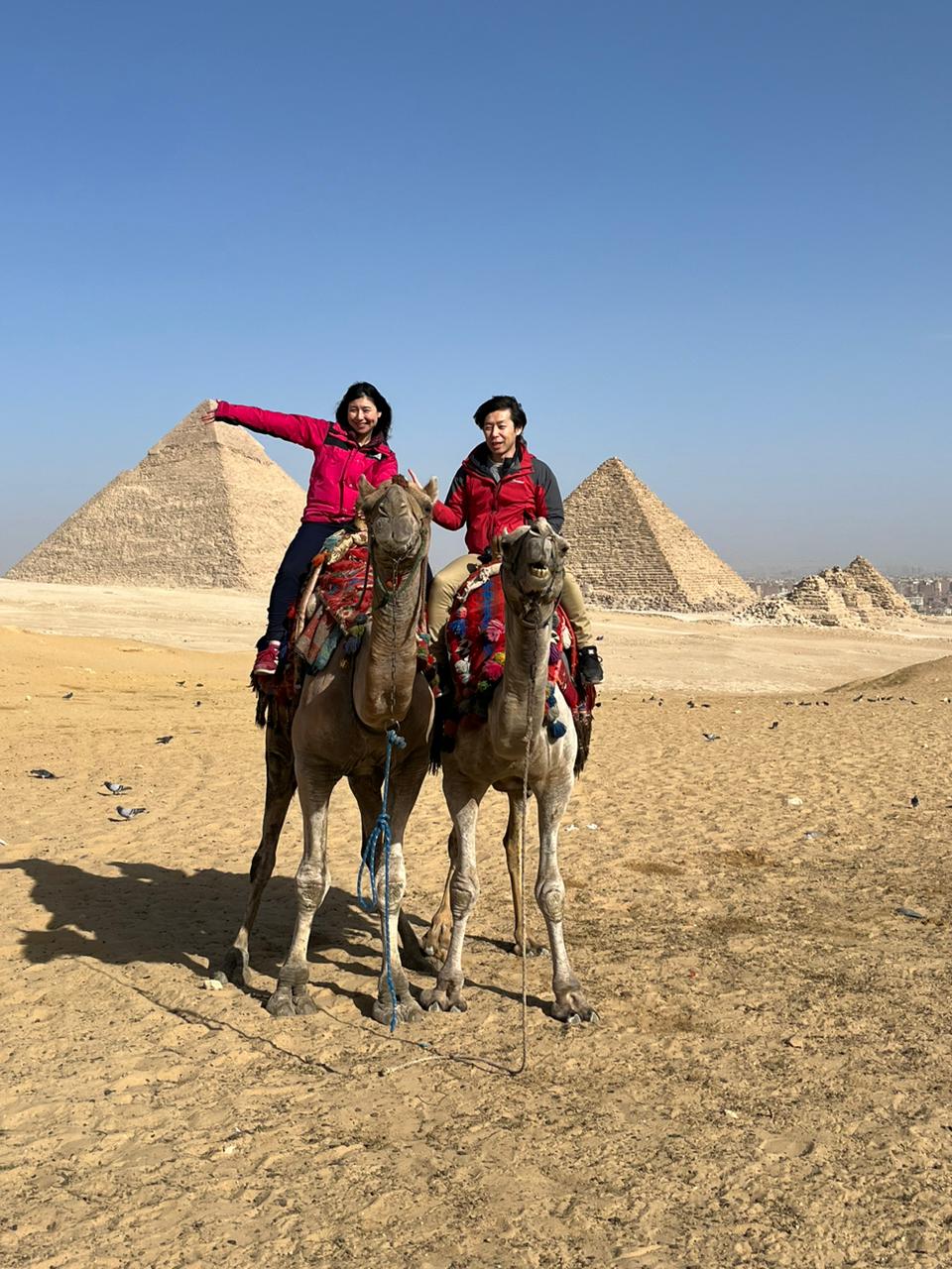 831a3b9a-dc8c-43a2-a943-13b66731a1ce