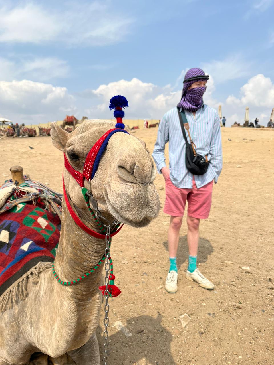 9bc510bb-88ba-4842-801c-1657ec11b696