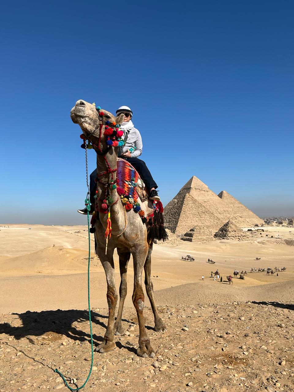 f68a44a8-f000-4273-868b-61f037d9aadb